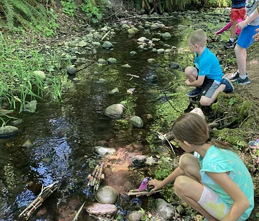 Farm Open Day: STEAM Explorations!
