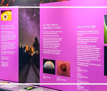 Sensory Friendly Sunday