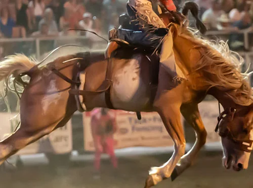 Idaho High School Rodeo State Finals