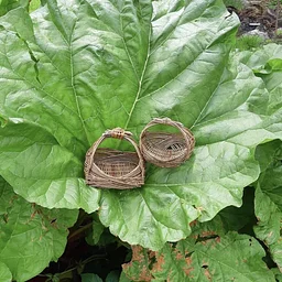 Wild Weaving Basketry