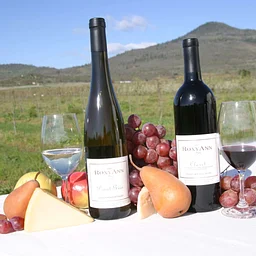 25th Anniversary Celebration & Fall Wine Club Release Party!🎊