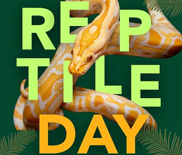 Reptile Day