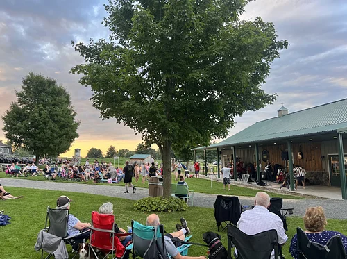 Music on the Lawn- The John Payton Project