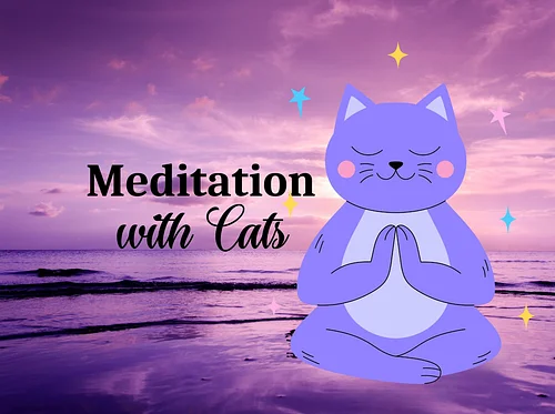 Guided Meditation Hour with Cats