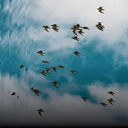For the Birds: Music of Olivier Messiaen (Mar 30)