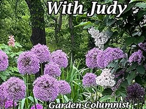 Judy Terry – Garden Walks with Judy