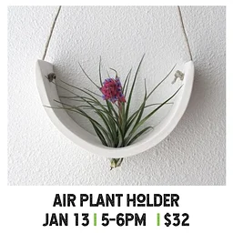 Air Plant Holder