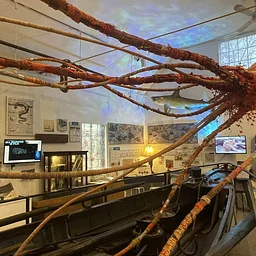 The Whaling Museum and Education Center presents Boats Ahoy! Scavenger Hunt