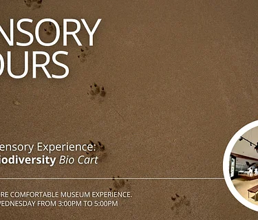 Sensory Hours | Animal Tracks, Biodiversity Cart