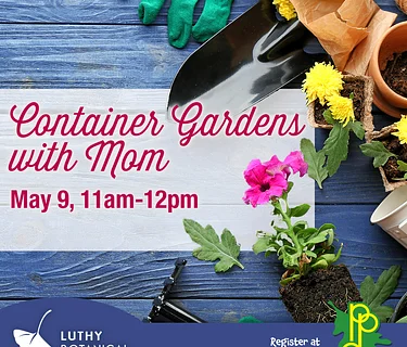 Container Gardens With Mom