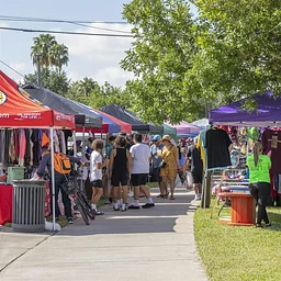 Harlingen Market Days: November Registration