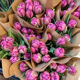 FLOWER BOUQUET POP UP - DOGWOOD FARMS