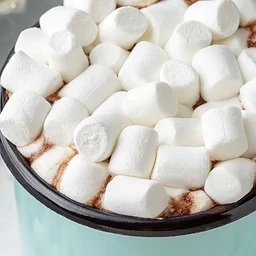 Crafts and Cocoa at the Library