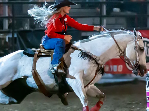 That Famous Preston Night Rodeo