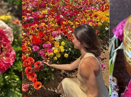 Blooms & Bubbles: Spring Afternoon Date at Mellano Farm Stand