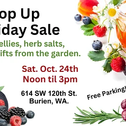 Shark Garden Holiday Sale