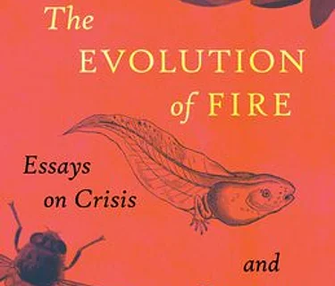 Angela Pelster – The Evolution of Fire