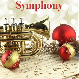 Pinellas Youth Symphony Holiday Concert 2026