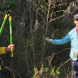 Volunteer @ Felts Audubon Preserve Conservation Day
