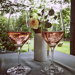 Rosé Wine Dinner