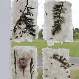 Foraged Fibers: Winter