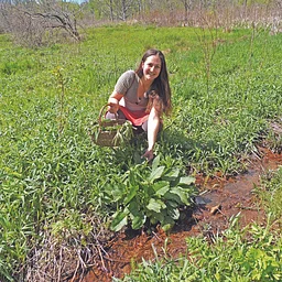 CLASS: Herbs for Mood and Mental Wellness