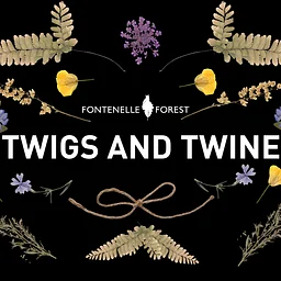 Twigs & Twine