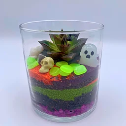Pop-up at The Neighborhood: Cemeterrariums