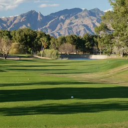 Tucson City Golf