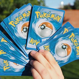 Sports and TCG Card Show – Days Inn