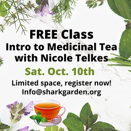 Free Class: Intro to Medicinal Tea with Nicole Telkes