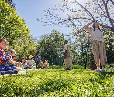 The Beauty Project: Through the Looking Glass