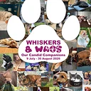 Whiskers & Wags: Our Candid Companions