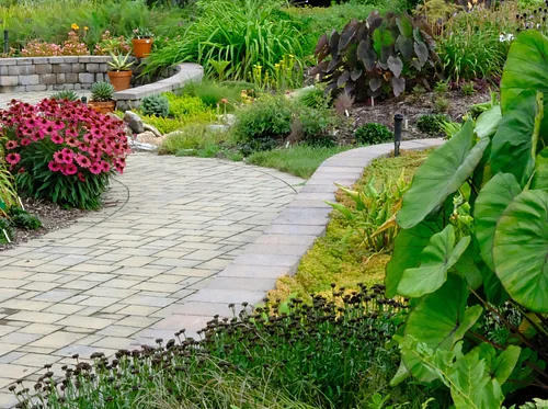 Southeastern Plant Symposium