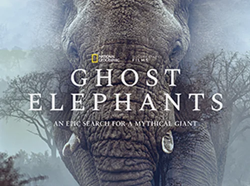 Ghost Elephants | Apr 1-5