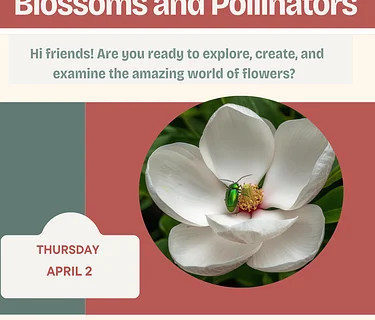 Acorn Academy (Ages 6 and up)