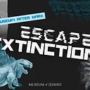 Museum After Dark