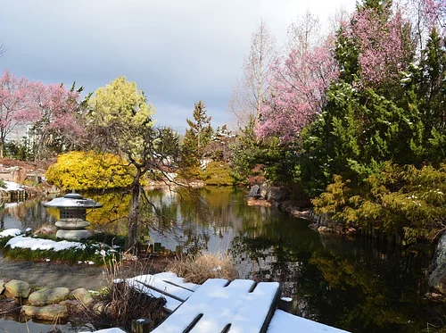 SEASONAL GARDEN TOUR: MAR 11