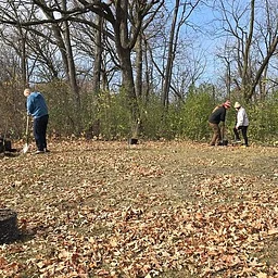 Let’s Restore: Menomonee River Parkway Tree Planting