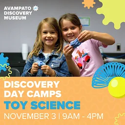 Discovery Day Camp: Toy Science
