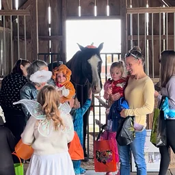 Halloween with the Horses