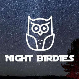 Night Birdies: Golf Under the Stars