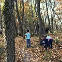Regular Buckthorn Removal Days (Cancelled for December)