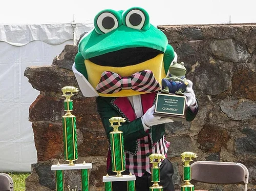 Barbeque Cook-Off / Sales