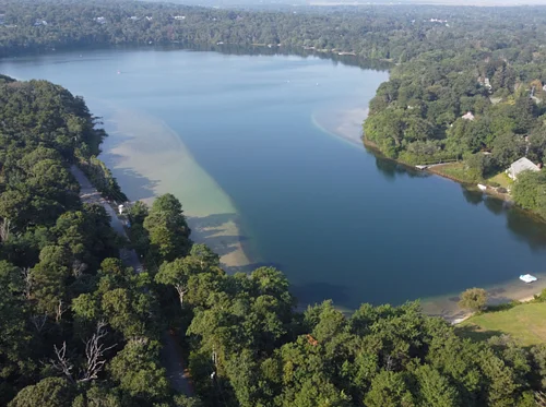 Pond Ecology Matters: Biodiversity and Its Role in Pond Health