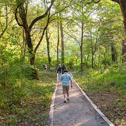 Reflections by the Creek: Walk and Nature Journaling Session