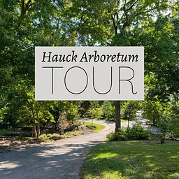 Hauck Arboretum Tour