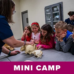 Mini Camp: Secrets of the Lagoon