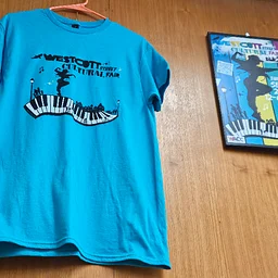 Westcott Street Cultural Fair Retrospective
