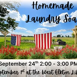 Adult Craft: Homemade Laundry Soap